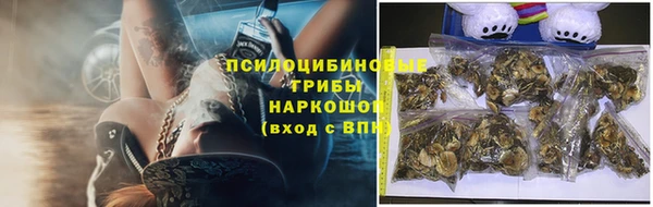 крисы Аркадак
