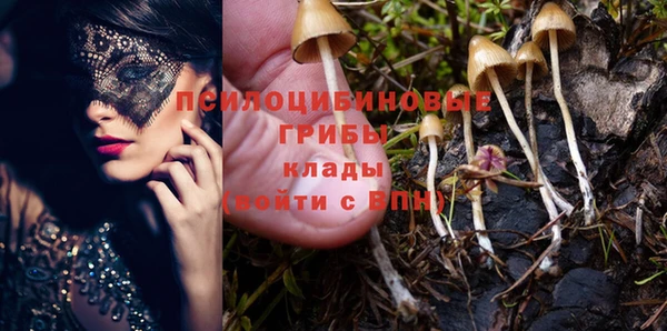 крисы Аркадак