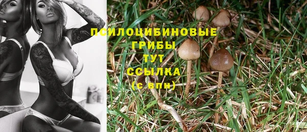 амфетамин Арсеньев